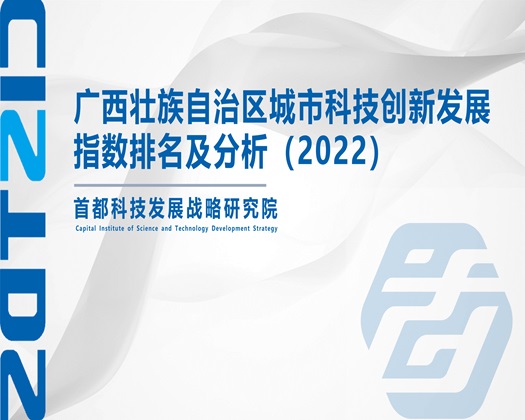 几把日逼视频【成果发布】广西壮族自治区城市科技创新发展指数排名及分析（2022）